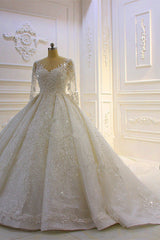 Wedding Dress Open Back, Sparkle 3D Lace Appliques Long Sleevess Church Train Wedding Dress