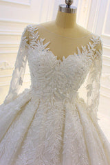 Wedding Dress For Bride And Groom, Sparkle 3D Lace Appliques Long Sleevess Church Train Wedding Dress